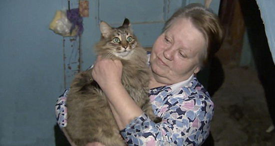 俄罗斯一流浪猫救活弃婴 为其取暖数小时(组图)